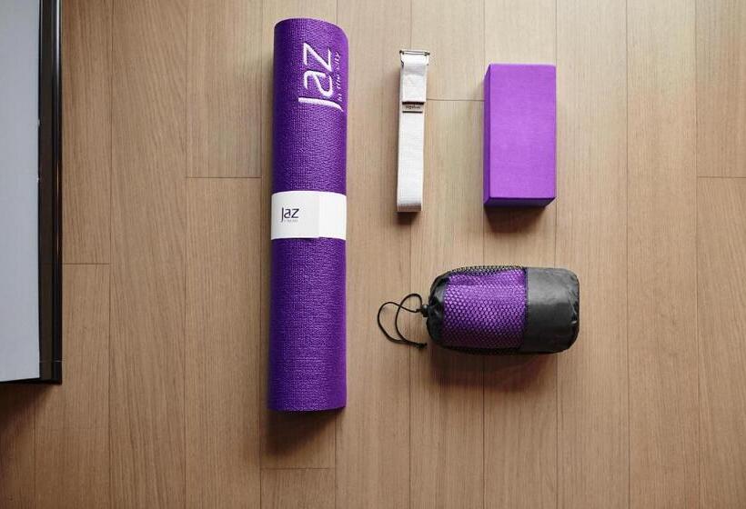 酒店 Jaz In The City Vienna