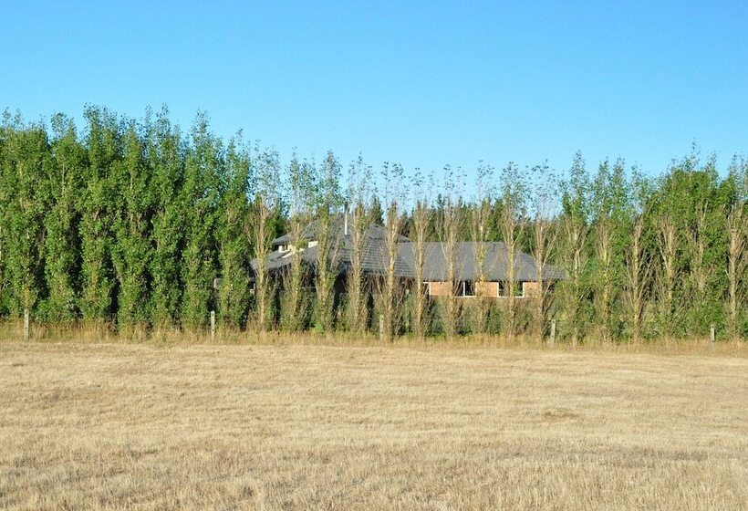 هتل Newlands Bed And Breakfast
