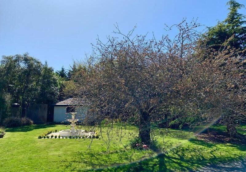 هتل Newlands Bed And Breakfast