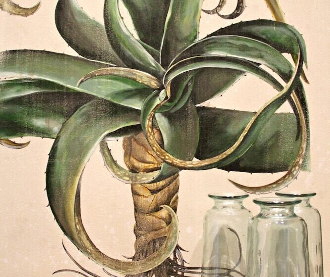 בית מלון כפרי Samara Karoo Reserve