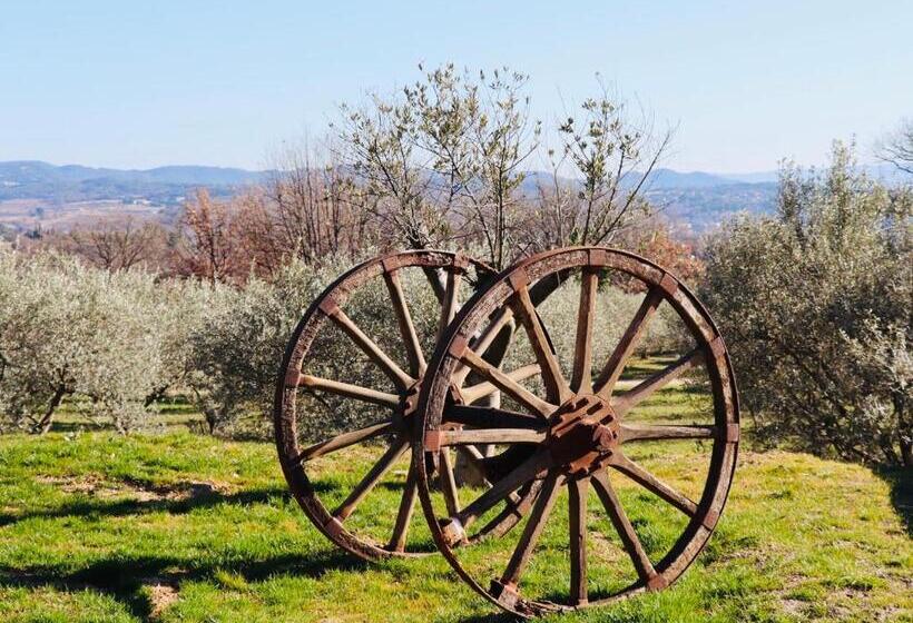 بنسيون Terre Luberon
