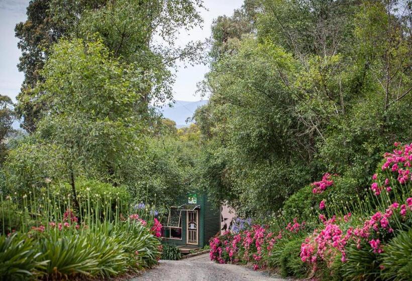 Отель Avoca Park Equestrian Farmstay