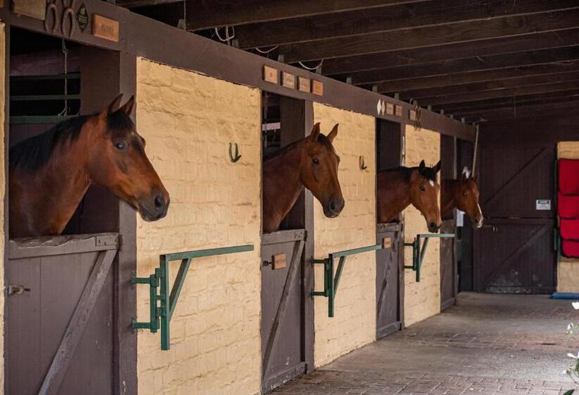 Отель Avoca Park Equestrian Farmstay