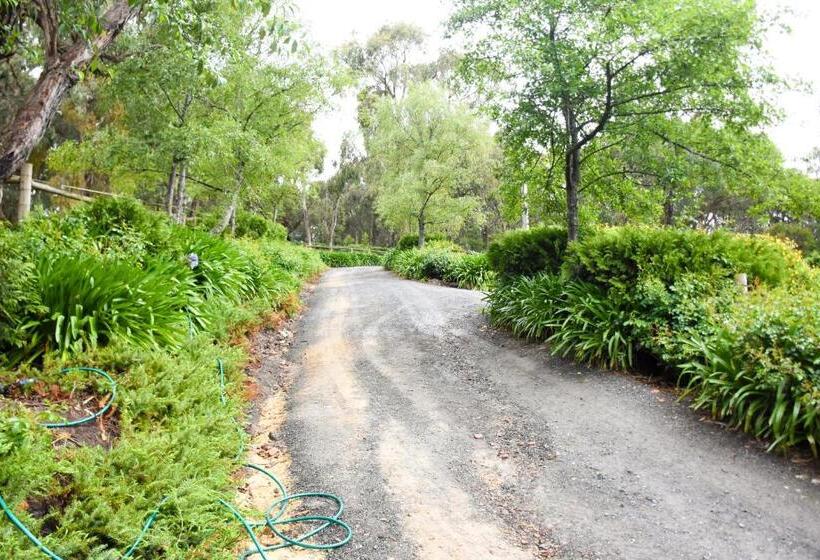 Отель Avoca Park Equestrian Farmstay