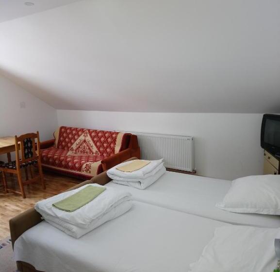 پانسیون Apartments And Rooms Vicko