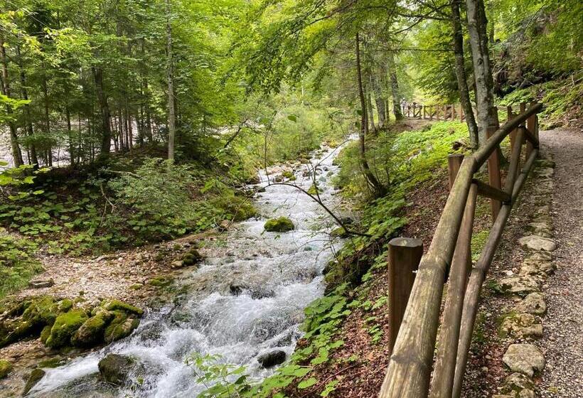 پانسیون Guest House Vila Moj Mir