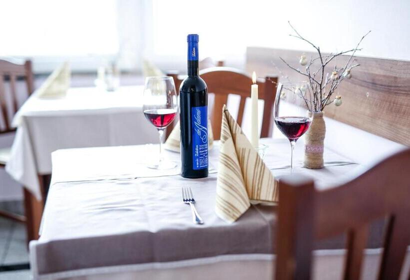 پانسیون Guest House Vila Moj Mir