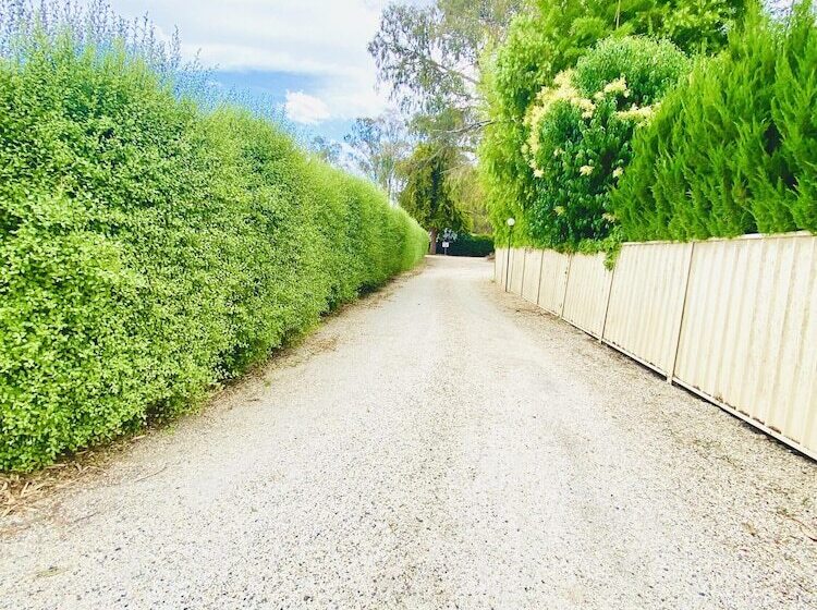 モーテル Auto Lodge Motor Inn