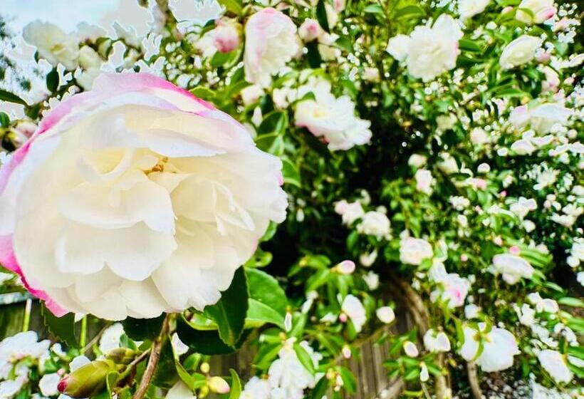 モーテル Auto Lodge Motor Inn