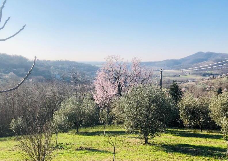 هاستل Tavern Di Arqua