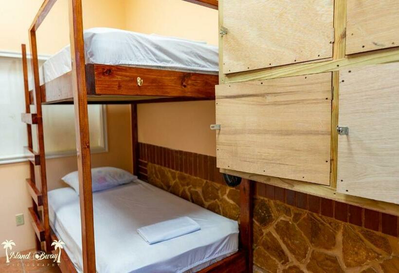 הוסטל Yellow Belly Backpackers