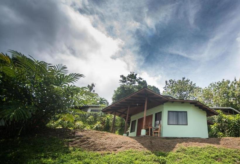 فندق Ballena Paraíso Lodge