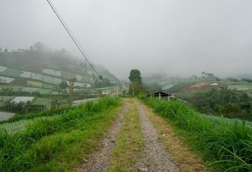 هتل Reddoorz Near Candi Cetho Karanganyar