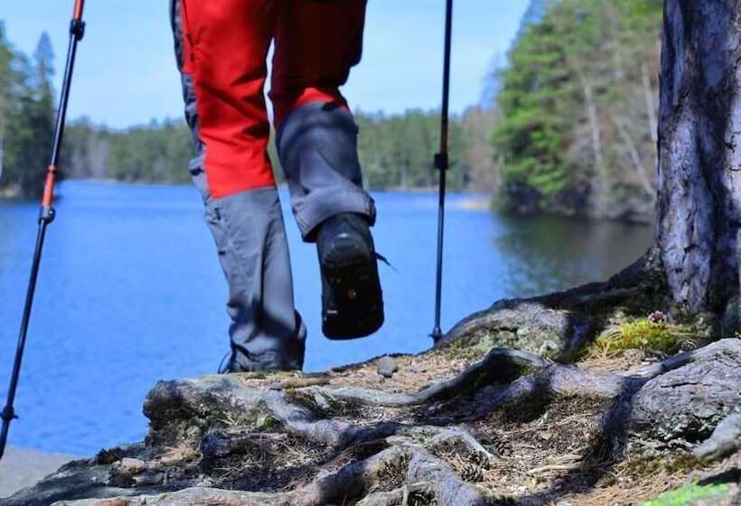 Haltia Lake Lodge Nature Boutique Hotel & Glamping