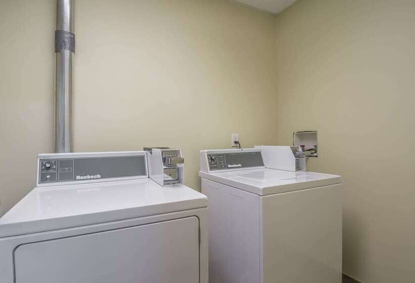 فندق Comfort Inn & Suites