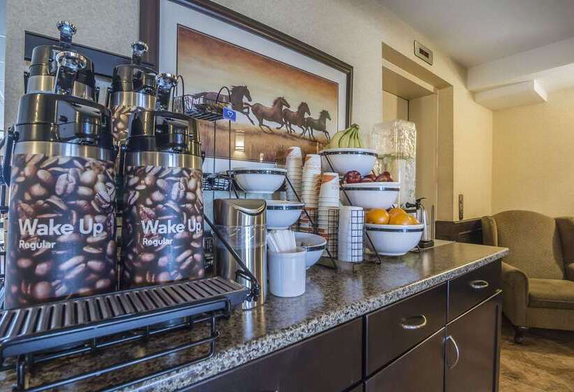 فندق Comfort Inn & Suites