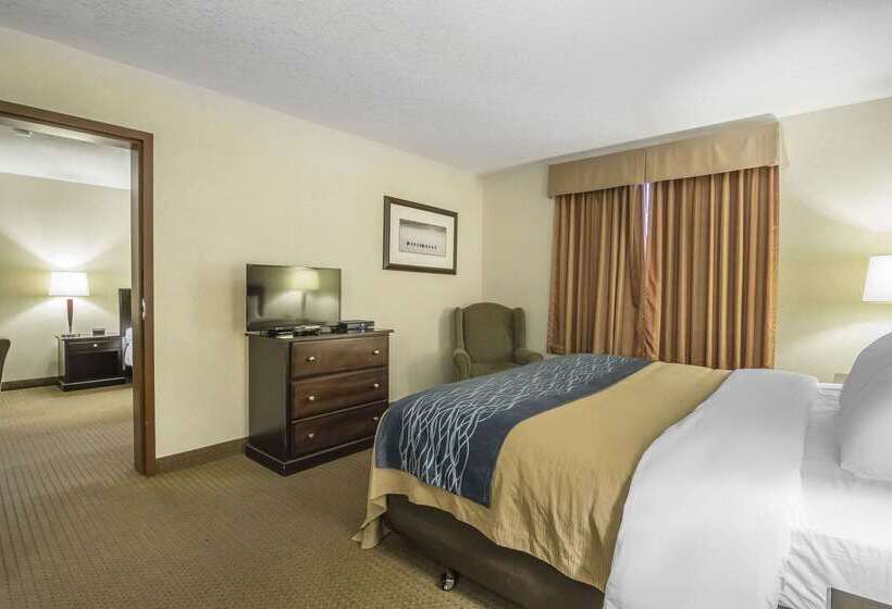 فندق Comfort Inn & Suites