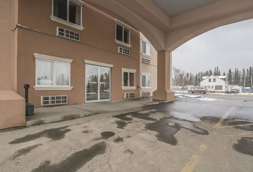 فندق Comfort Inn & Suites