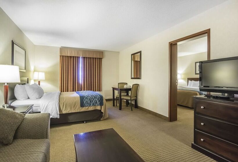 فندق Comfort Inn & Suites