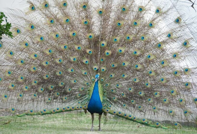 酒店 Dongguan Mcb Lake