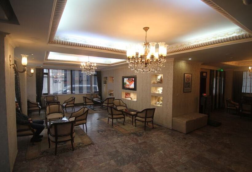 Fotos del hotel Grand Liza:  38