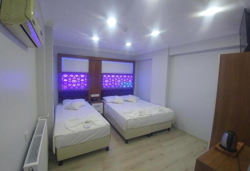 Fotos del hotel Grand Liza:  4