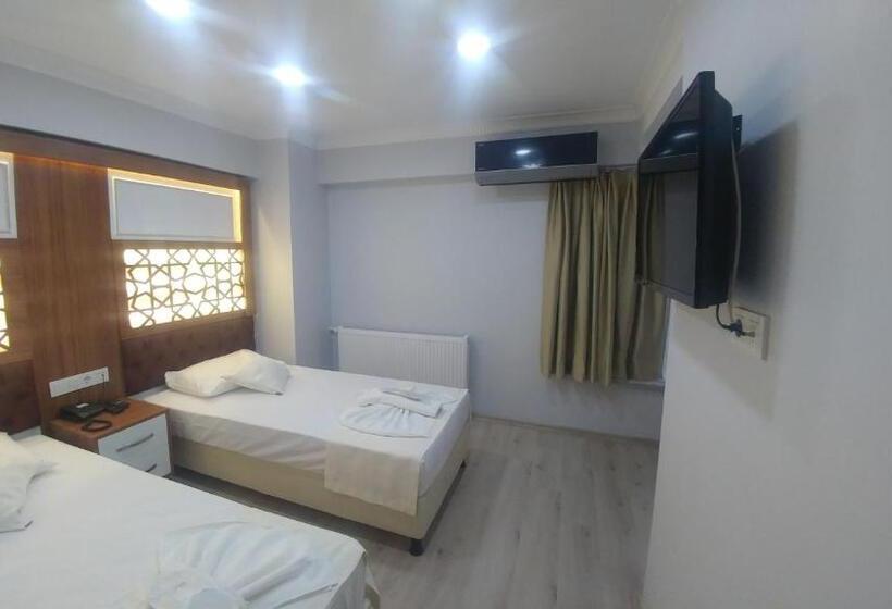 Fotos del hotel Grand Liza:  6
