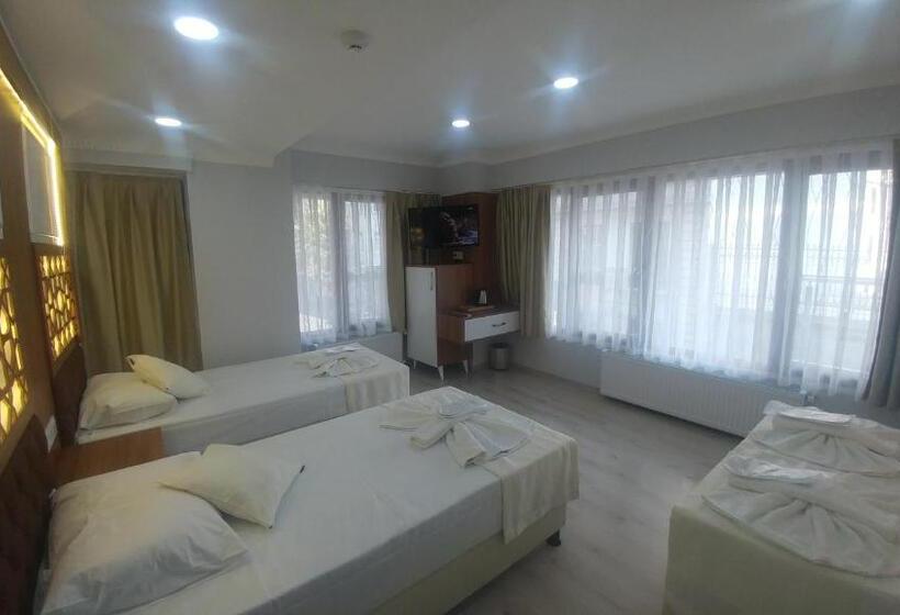 Fotos del hotel Grand Liza:  5