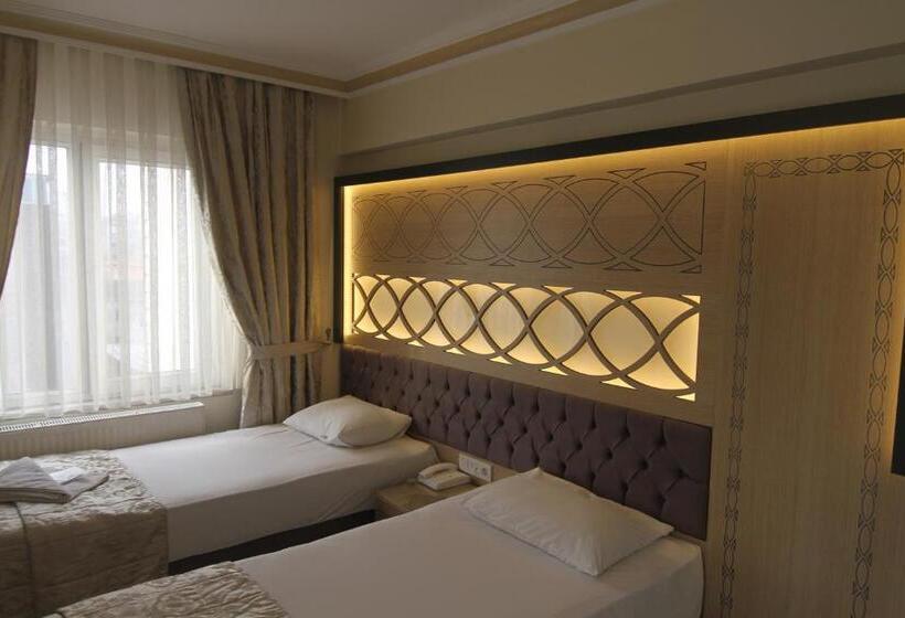Fotos del hotel Grand Liza:  2