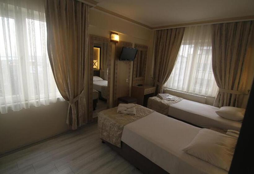 Fotos del hotel Grand Liza:  7