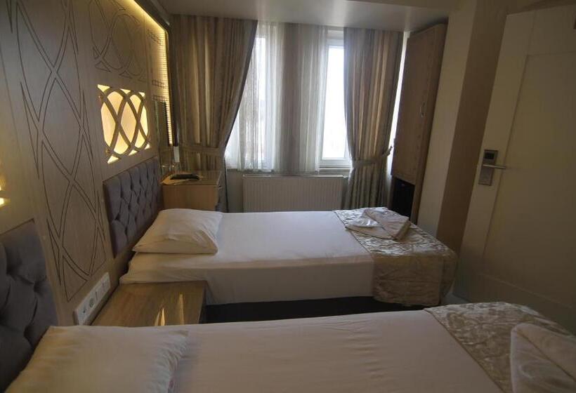 Fotos del hotel Grand Liza:  8