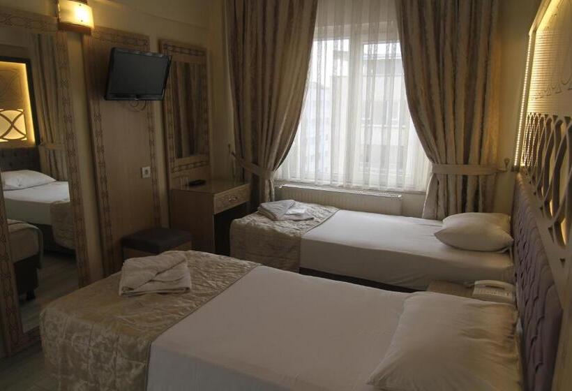 Fotos del hotel Grand Liza:  10