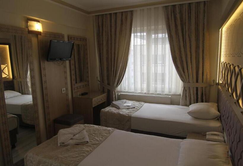 Fotos del hotel Grand Liza:  14