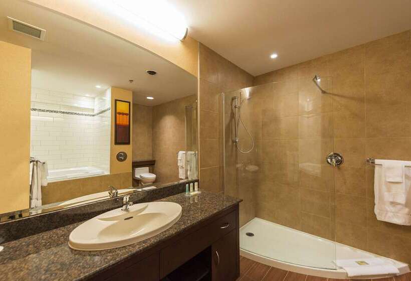 فندق Quality Inn & Suites