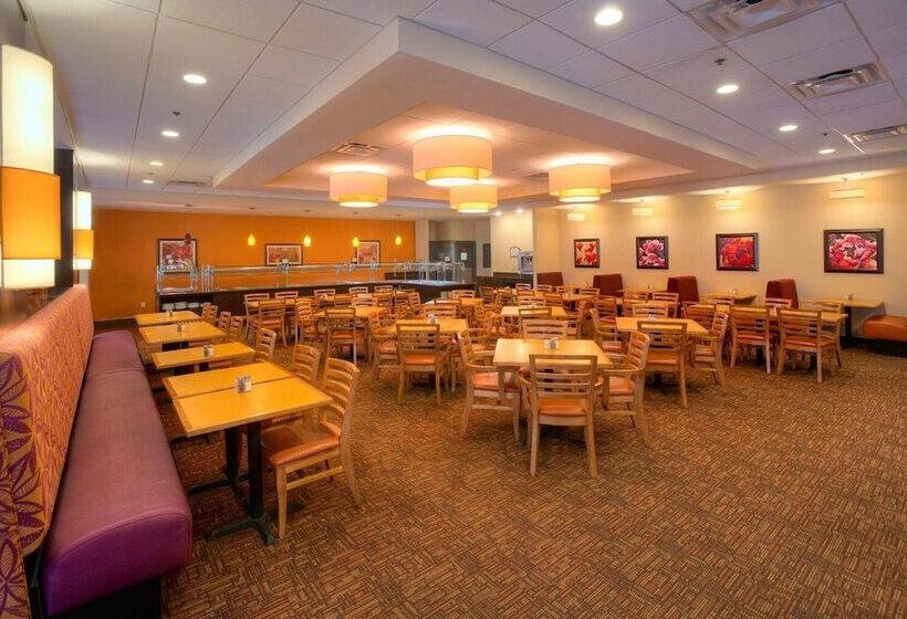 هتل Rosen Inn International