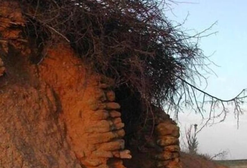 هتل روستایی Rincon De Dona Ines