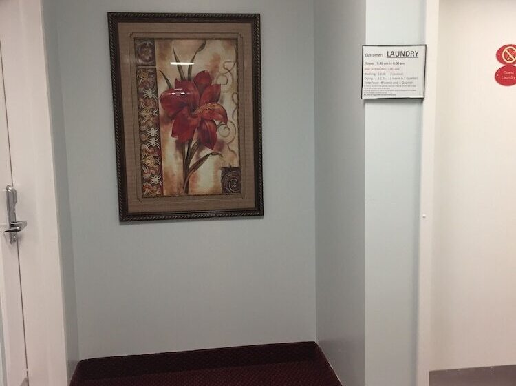 בית מלון כפרי Travel Inn & Suites Innisfail