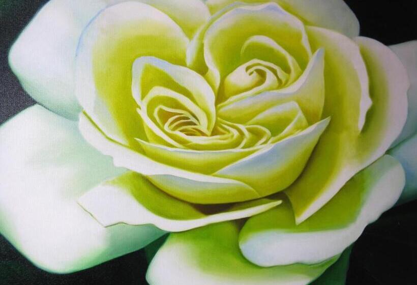 Fotos del hotel Diva:  15