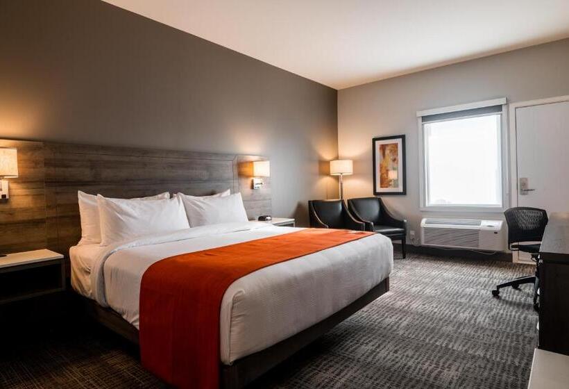 هتل Amsterdam Inn & Suites Florenceville