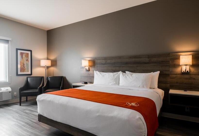 هتل Amsterdam Inn & Suites Florenceville
