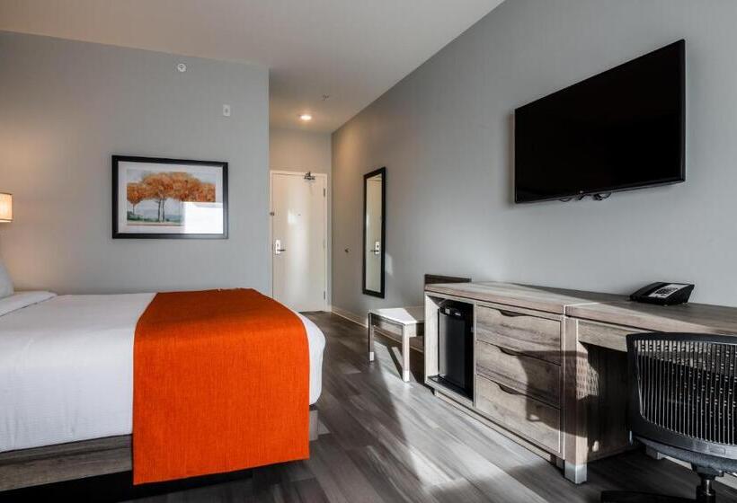 هتل Amsterdam Inn & Suites Florenceville