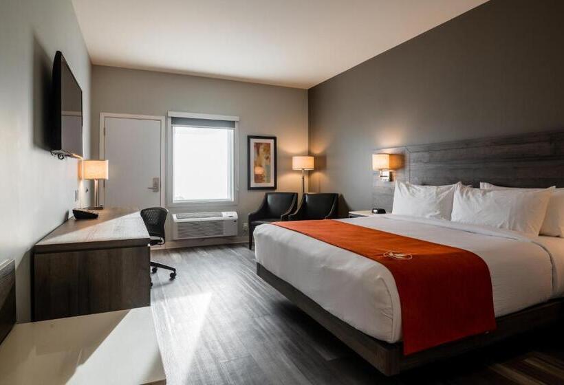 هتل Amsterdam Inn & Suites Florenceville