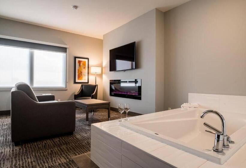 هتل Amsterdam Inn & Suites Florenceville