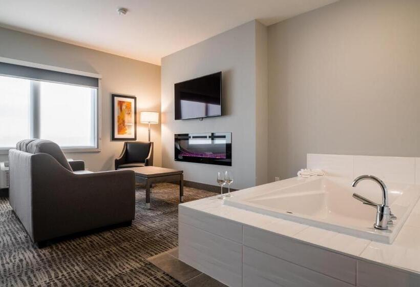 هتل Amsterdam Inn & Suites Florenceville