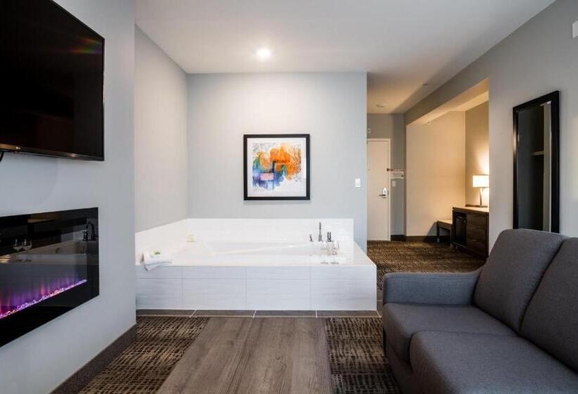 هتل Amsterdam Inn & Suites Florenceville