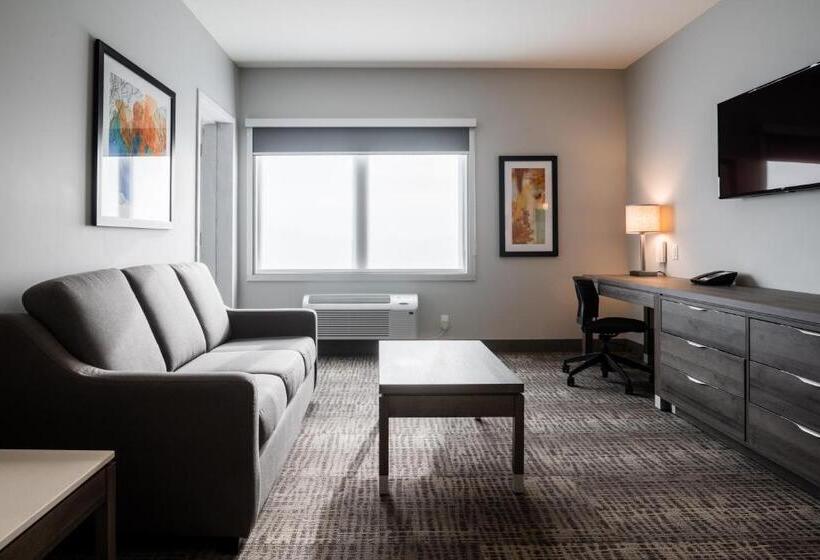 هتل Amsterdam Inn & Suites Florenceville