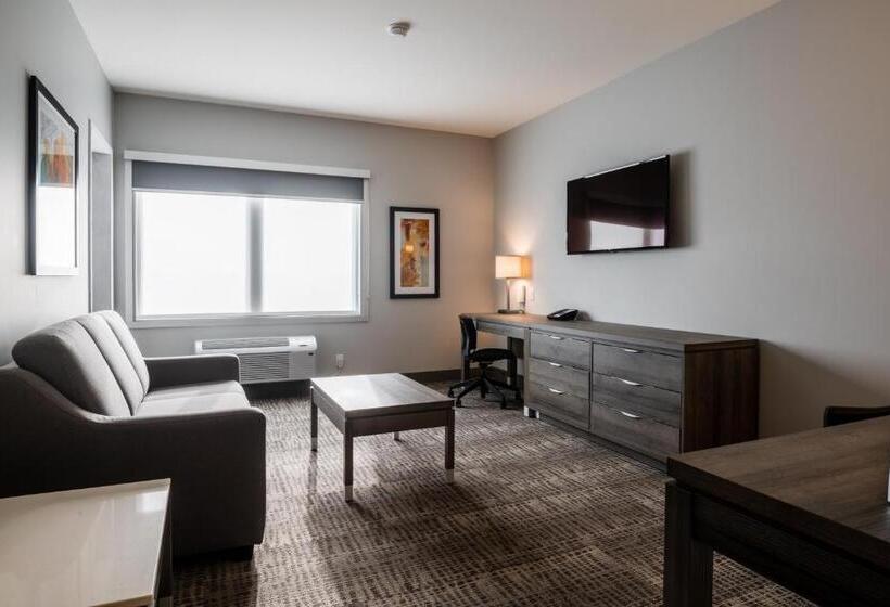 هتل Amsterdam Inn & Suites Florenceville