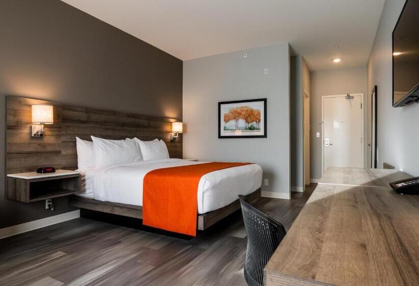 هتل Amsterdam Inn & Suites Florenceville