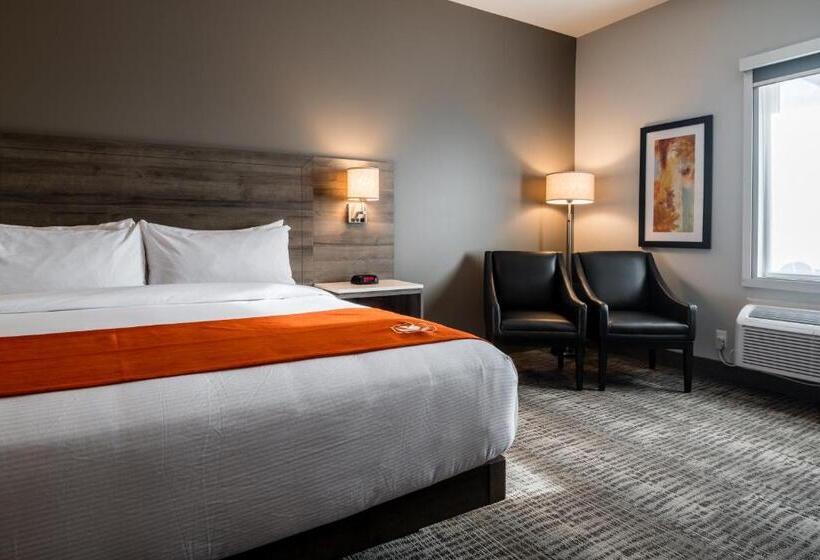هتل Amsterdam Inn & Suites Florenceville