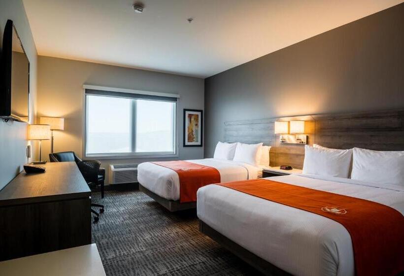 هتل Amsterdam Inn & Suites Florenceville